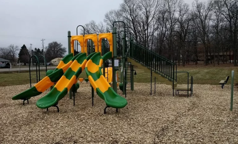 Slides playground equipment with wood chips and trees