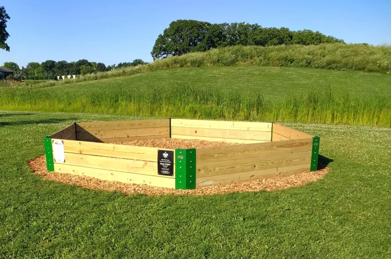 Gaga ball pit at park surrounded by grass