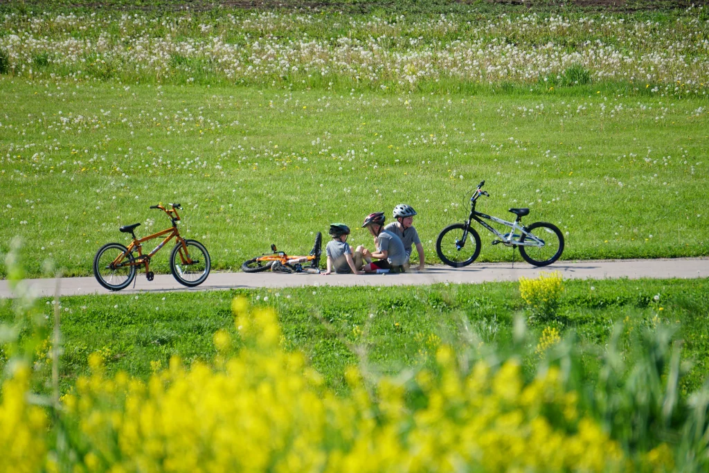 Kids with bikes on sidewalk surrounded by grass and wildflowers