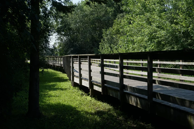 Rasmussen Road foot bridge from side surrounded by trees