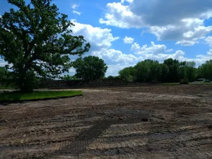 Dirt with tire marks and trees in the background