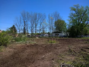 Dirt surrounded by grass, trees, and sticks with a house in the background