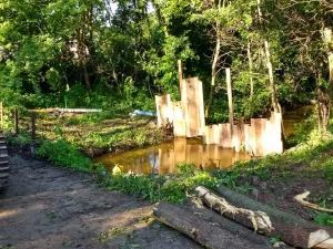 Honey Creek Water is Partially Blocked by a Wooden Structure Surrounded by Trees