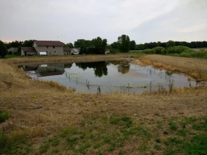 A pond in front of a home